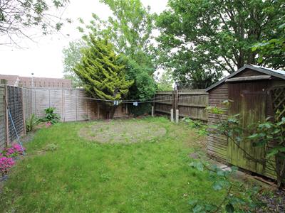Picture 11